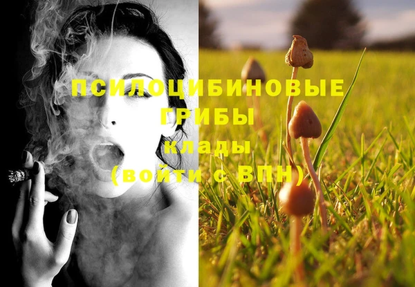 винт Алексин