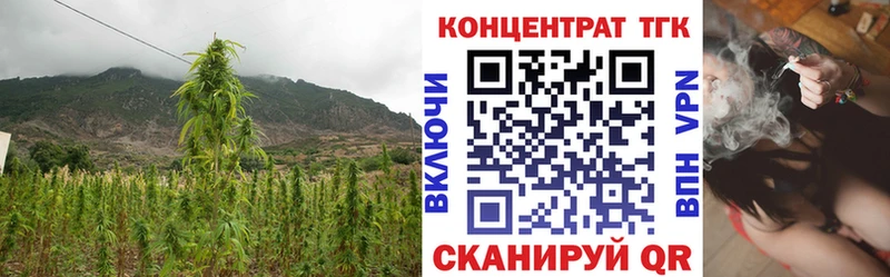 ТГК вейп с тгк наркошоп Димитровград
