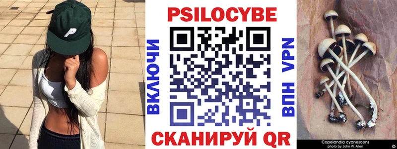 Галлюциногенные грибы Psilocybe  Димитровград 