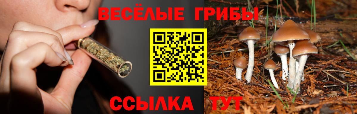 Псилоцибиновые грибы MAGIC MUSHROOMS  Вход с VPN  Димитровград  Галлюциногенные грибы мухоморы 